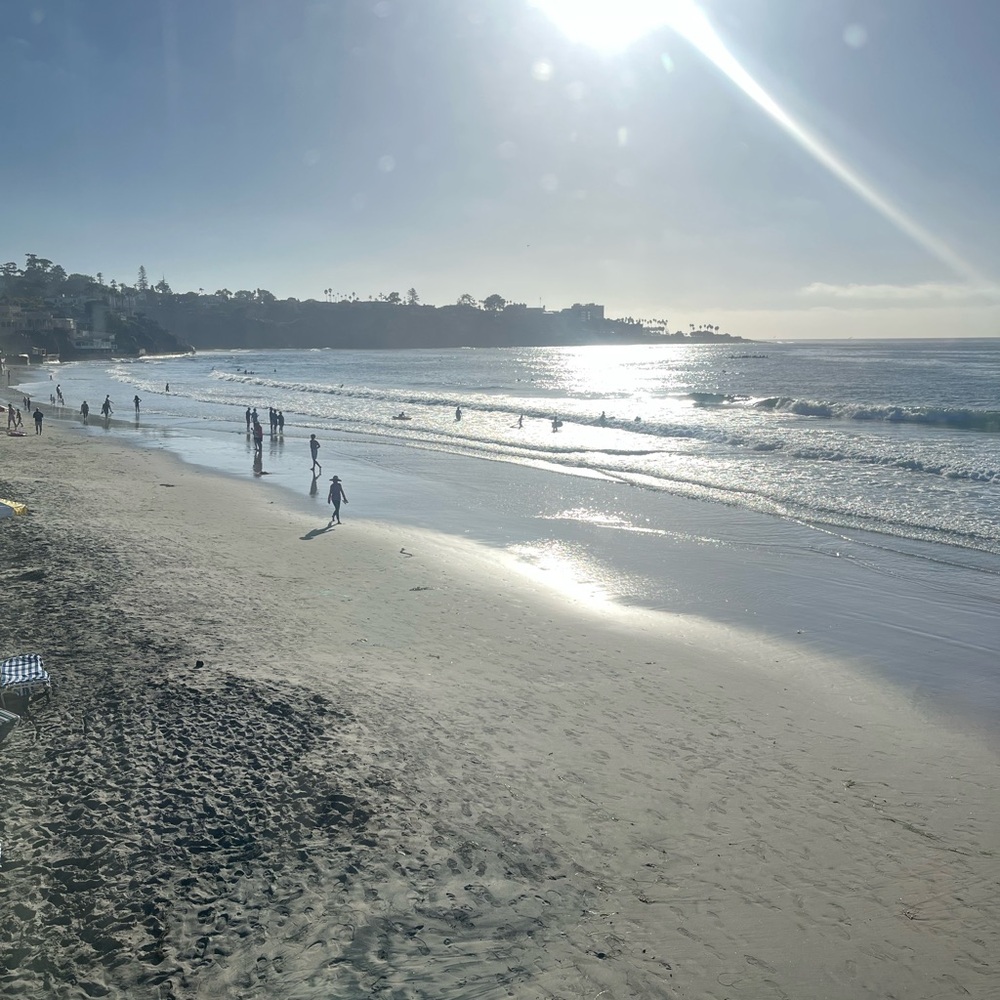 Meet your Posher, Liv